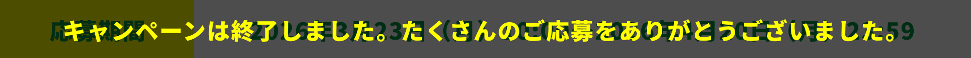 キャンペーンは終了しました。たくさんのご応募をありがとうございました。