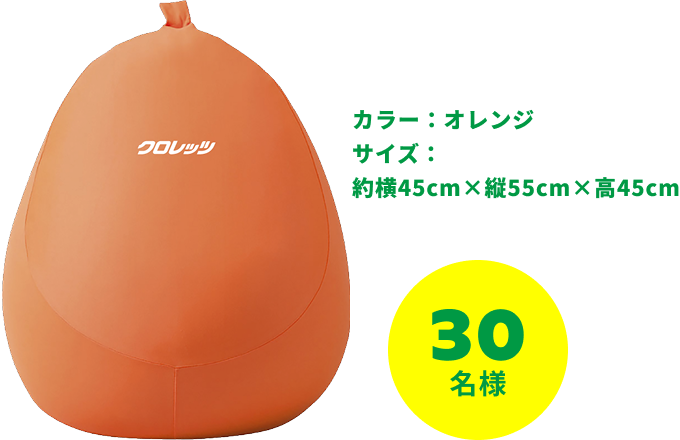 30名様　カラー：オレンジ サイズ： 約横45cm×縦55cm×高45cm