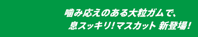 噛み応えのある大粒ガムで、息スッキリ！マスカット新登場！