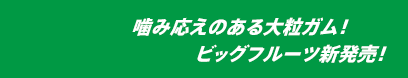 噛み応えのある大粒ガム！ビッグフルーツ新発売！