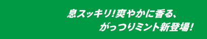 息スッキリ！爽やかに香る、がっつりミント新登場！