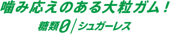 噛み応えのある大粒ガム！ 糖類0/シュガーレス
