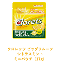 クロレッツ ビッグフルーツ シトラスミント パウチ（17g）