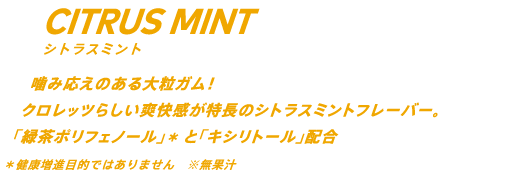 噛み応えのある大粒ガム！クロレッツらしい爽快感が特長のシトラスミントフレーバー。「緑茶ポリフェノール」*と「キシリトール」配合 *健康増進目的ではありません ※無果汁