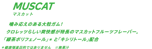 噛み応えのある大粒ガム！クロレッツらしい爽快感が特長のマスカットフレーバー。「緑茶ポリフェノール」*と「キシリトール」配合 *健康増進目的ではありません ※無果汁
