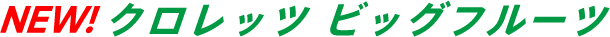 クロレッツ ビッグフルーツ